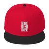 "BBQ IS DOPE" Multicolor - Snapback Hat