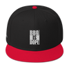 "BBQ IS DOPE" Multicolor - Snapback Hat