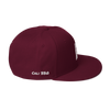"BBQ IS DOPE" Solid - Snapback Hat