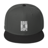 "BBQ IS DOPE" Multicolor - Snapback Hat